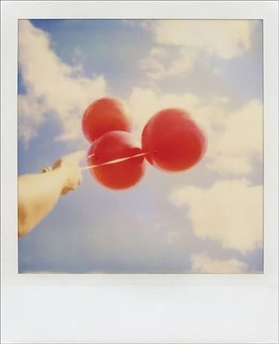 Stock image for Polaroid Journal for sale by Books From California
