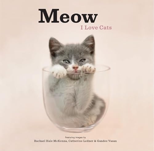 Imagen de archivo de Meow: I Love Cats a la venta por ThriftBooks-Dallas