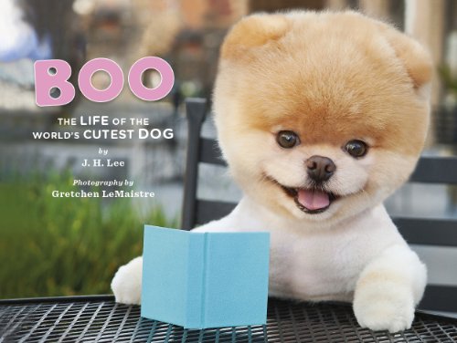 Beispielbild fr Boo: The Life of the World's Cutest Dog zum Verkauf von ThriftBooks-Atlanta