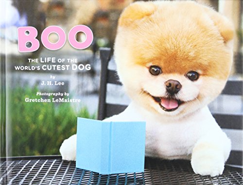 Stock image for Boo: The Life of the World's Cutest Dog for sale by ThriftBooks-Atlanta