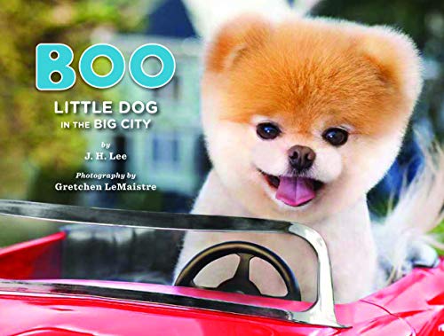 Imagen de archivo de Boo: Little Dog in the Big City a la venta por Your Online Bookstore