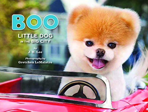 Boo: Little Dog in the Big City (9781452109718) by Lee, J.H.