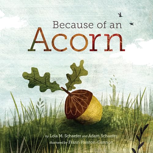 9781452112428: Because of an Acorn: (Nature Autumn Books for Children, Picture Books about Acorn Trees)