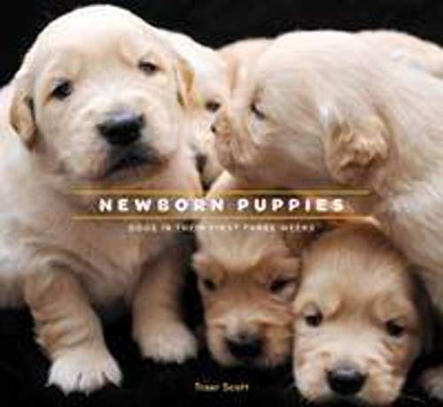 Stock image for Newborn Puppies: Dogs in Their First Three Weeks for sale by Your Online Bookstore