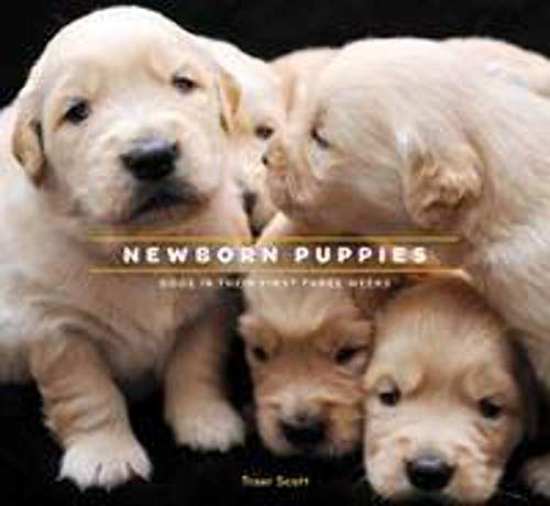 9781452114316: Newborn Puppies hc: Dogs in Their First Three Weeks