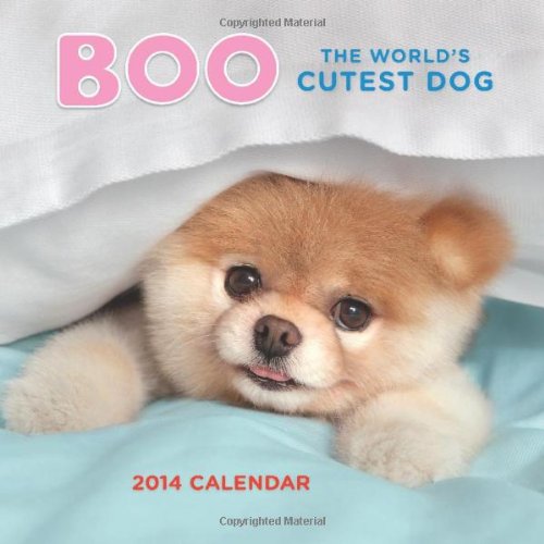 Boo 2014 Wall Calendar (9781452115702) by Lee, J. H.