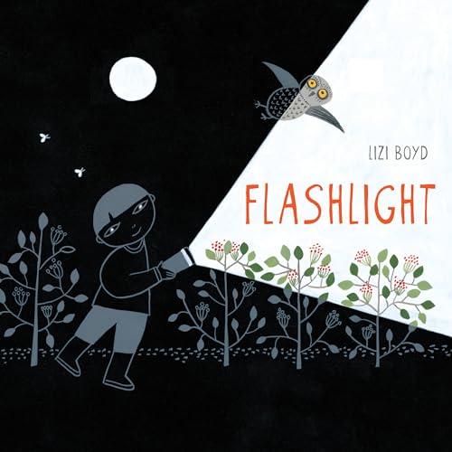 Stock image for Flashlight Picture Books Wordl for sale by SecondSale