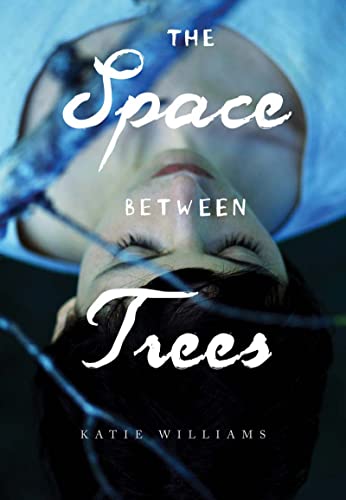 Stock image for The Space between Trees for sale by Jenson Books Inc