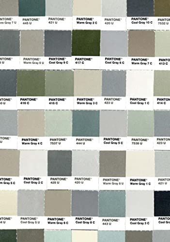 9781452124865: Pantone: Fifty Grays Journal