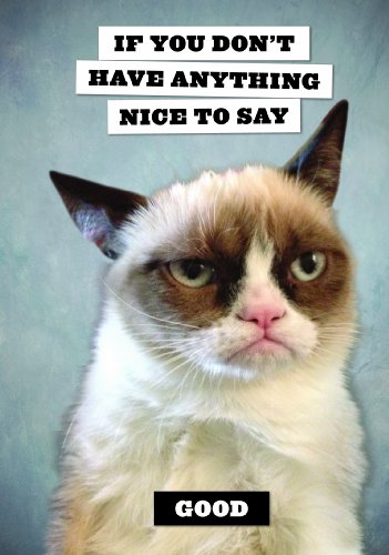 9781452133225: Grumpy Cat Journal: If You Don't Have Anything Nice to Say, Good