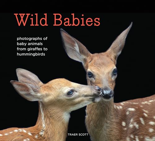Beispielbild fr Wild Babies : Photographs of Baby Animals from Giraffes to Hummingbirds zum Verkauf von Better World Books
