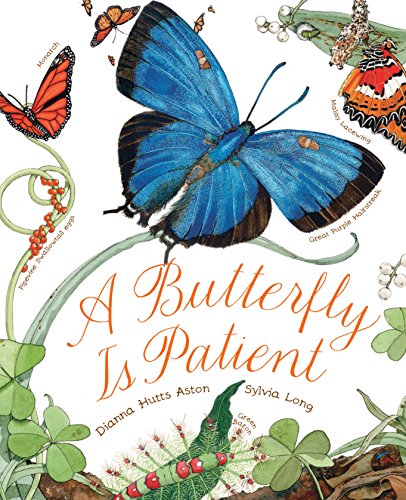 Stock image for A Butterfly Is Patient: (Nature Books for Kids, Children's Books Ages 3-5, Award Winning Children's Books) (Sylvia Long) for sale by Goodwill of Colorado