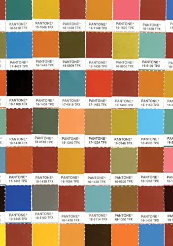 9781452145020: Pantone Chips Journal: Earth Tones