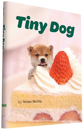 Stock image for Tiny Dog for sale by Gulf Coast Books