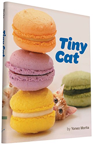 Stock image for Tiny Cat for sale by AwesomeBooks