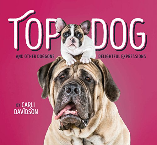 Beispielbild fr Top Dog : And Other Doggone Delightful Expressions zum Verkauf von Better World Books: West