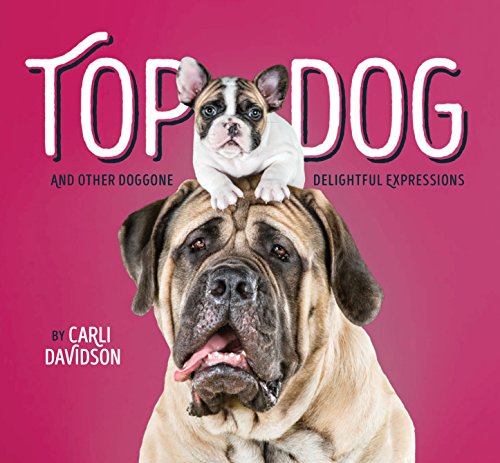 Stock image for Top Dog : And Other Doggone Delightful Expressions for sale by Better World Books: West