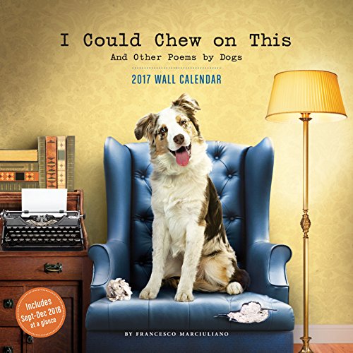 9781452151854: I Could Chew on This: 2017 Wall Calendar