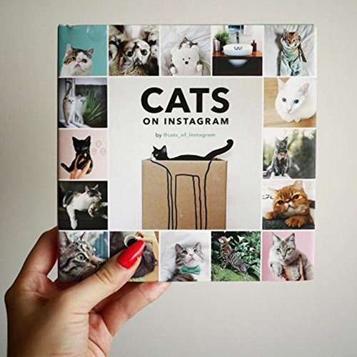 Imagen de archivo de Cats on Instagram a la venta por SecondSale