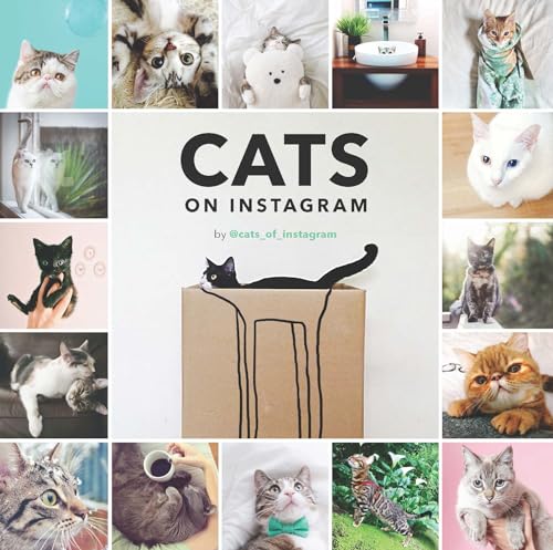 9781452151960: Cats on Instagram