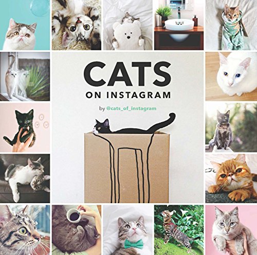 Stock image for Cats on Instagram for sale by SecondSale