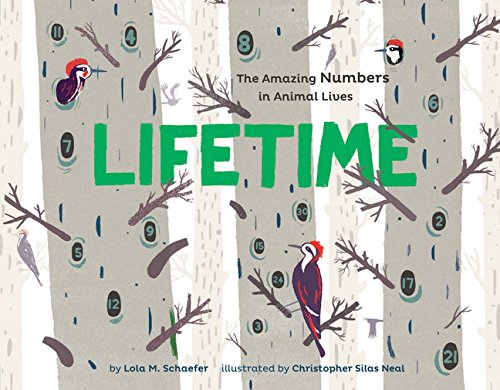 Stock image for Lifetime: The Amazing Numbers in Animal Lives for sale by Reliant Bookstore
