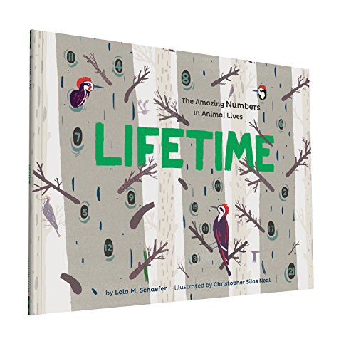 Stock image for Lifetime: The Amazing Numbers in Animal Lives for sale by SecondSale