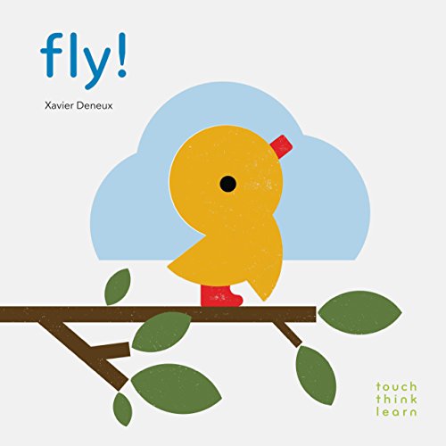 Imagen de archivo de TouchThinkLearn: Fly! a la venta por Zoom Books Company