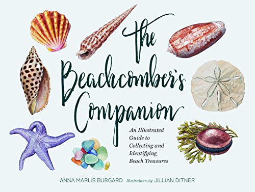 Beispielbild fr The Beachcomber's Companion: An Illustrated Guide to Collecting and Identifying Beach Treasures zum Verkauf von Books From California