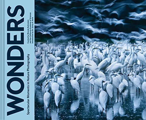 Beispielbild fr Wonders: Spectacular Moments in Nature Photography (Nature Books, Books for Adventurous People, Books about the Outdoors) zum Verkauf von Your Online Bookstore