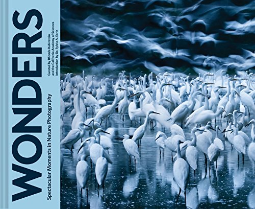 Stock image for Wonders: Spectacular Moments in Nature Photography for sale by AwesomeBooks