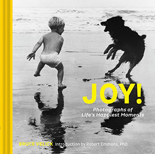 Imagen de archivo de Joy!: Photographs of Life's Happiest Moments a la venta por ZBK Books