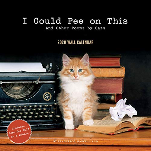 Beispielbild fr I Could Pee on This 2020 Wall Calendar: (Funny 2020 Wall Calendars, Cat Calendars 2020, Cat Gifts for Cat Lovers) zum Verkauf von GF Books, Inc.