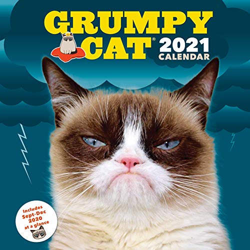 Beispielbild fr Grumpy Cat 2021 Wall Calendar: (Cranky Kitty Monthly Calendar, Funny Internet Meme 12-Month Calendar) zum Verkauf von medimops