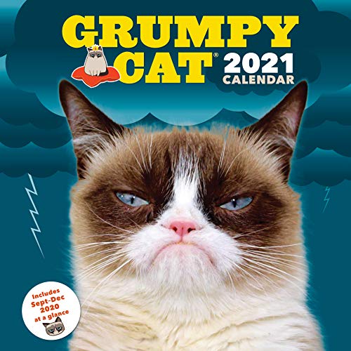 Stock image for Grumpy Cat 2021 Wall Calendar: (Cranky Kitty Monthly Calendar, Funny Internet Meme 12-Month Calendar) for sale by medimops
