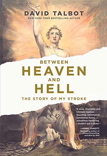 9781452183336: Between Heaven and Hell: The Story of my Stroke