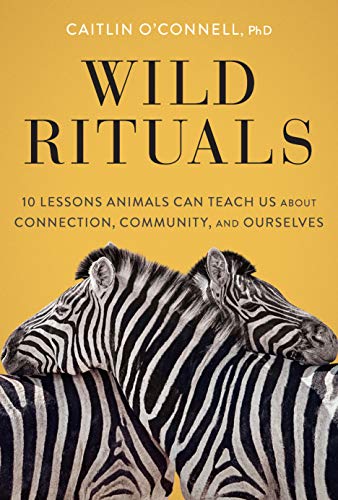 Stock image for Wild Rituals: 10 Lessons Animals Can Teach Us About Connection, Community, and Ourselves for sale by Seattle Goodwill
