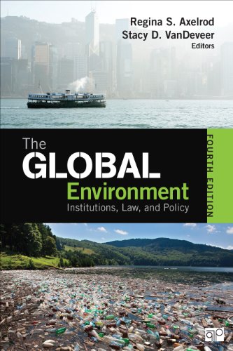 Stock image for The Global Environment : Institutions, Law, and Policy for sale by Better World Books: West