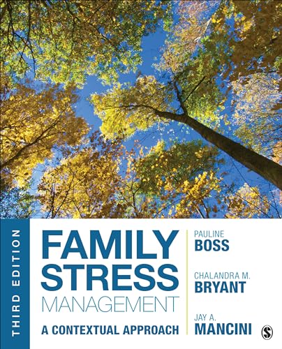 Imagen de archivo de Family Stress Management: A Contextual Approach a la venta por FirstClassBooks