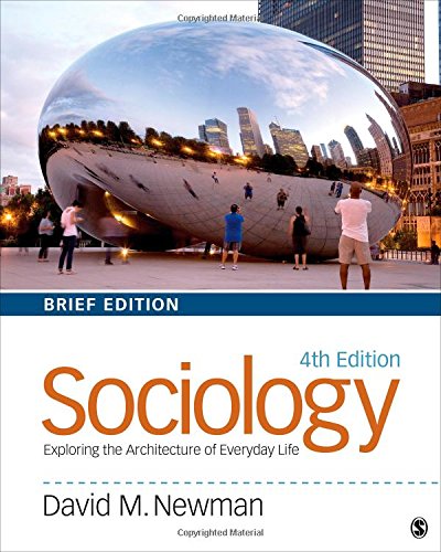 Stock image for Sociology : Exploring the Architecture of Everyday Life, Brief Edition for sale by Better World Books: West