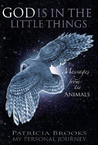 9781452576589: God Is in the Little Things: Messages from the Animals