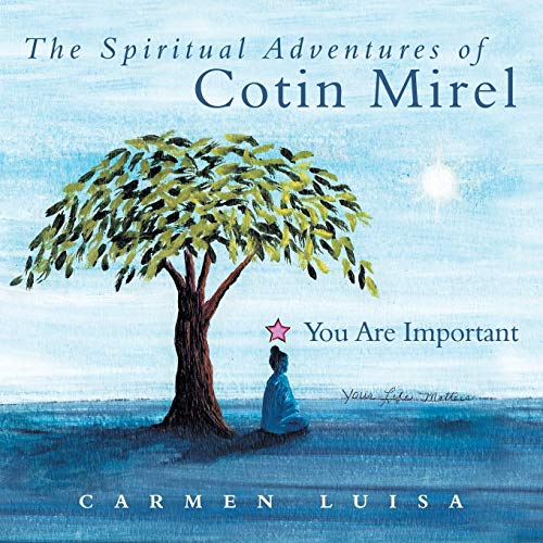 Beispielbild fr The Spiritual Adventures of Cotin Mirel You are Important zum Verkauf von PBShop.store US