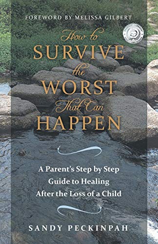 9781452582269: How to Survive the Worst That Can Happen: A Parent's Step by Step Guide to Healing After the Loss of a Child