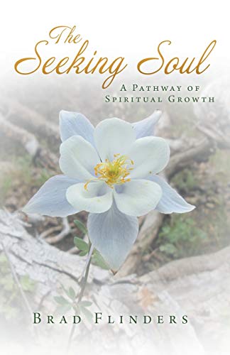 Beispielbild fr The Seeking Soul: A Pathway of Spiritual Growth zum Verkauf von Chiron Media