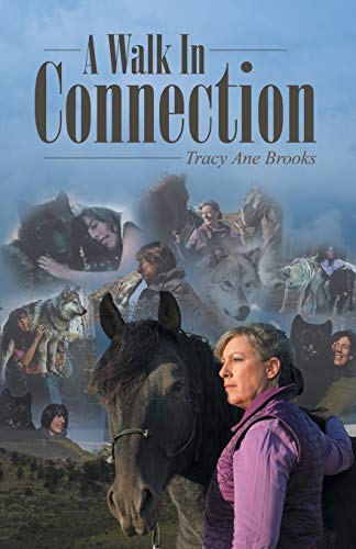 Imagen de archivo de A Walk In Connection a la venta por Jenson Books Inc