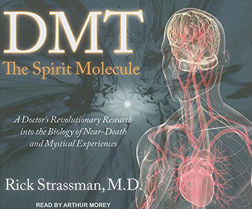 9781452601458: DMT: the Spirit Molecule: A Doctor's Revolutionary Research into the Biology of Near-Death and Mystical Experiences