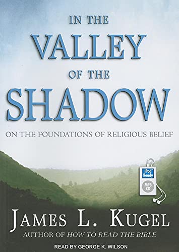 Stock image for In the Valley of the Shadow: On the Foundations of Religious Belief for sale by Irish Booksellers