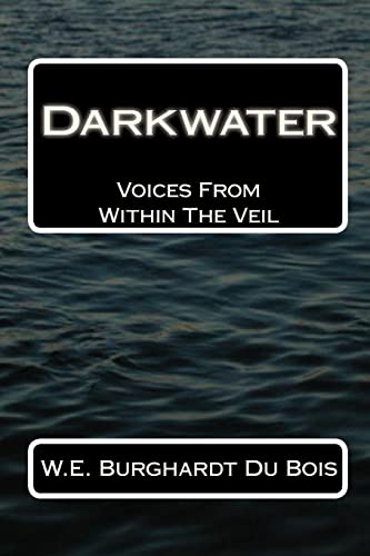 Imagen de archivo de Darkwater: Voices From Within The Veil a la venta por Lucky's Textbooks
