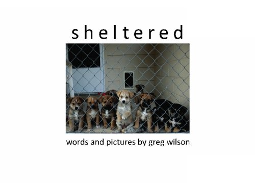 sheltered (9781452805023) by Wilson, Greg