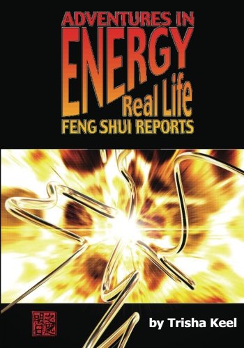 9781452858173: Adventures in Energy: Real Life Feng Shui Reports